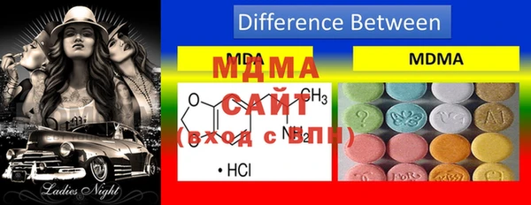 хмурый Магас