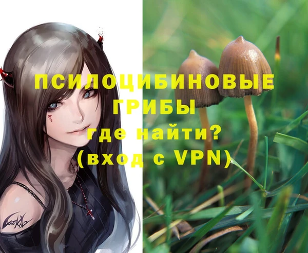 хмурый Магас