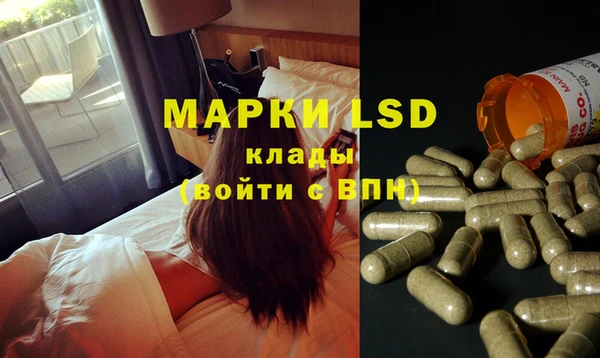 хмурый Магас
