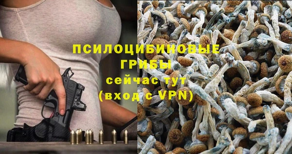 скорость Мегион