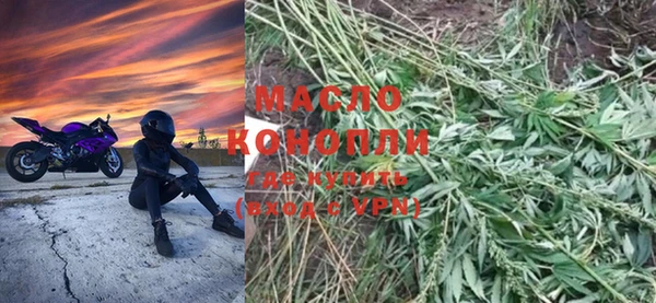 хмурый Магас