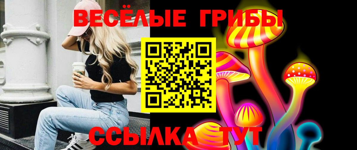 Псилоцибиновые грибы Psilocybine cubensis Миллерово