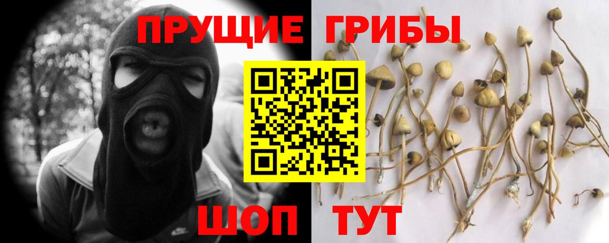 Галлюциногенные грибы GOLDEN TEACHER  Вход с VPN  Миллерово  Псилоцибиновые грибы ЛСД 